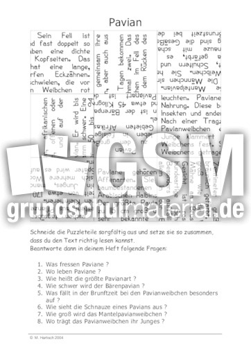 Pavian.pdf